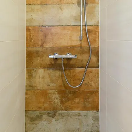 Apartment Goiserer Bad Goisern am Hallstättersee